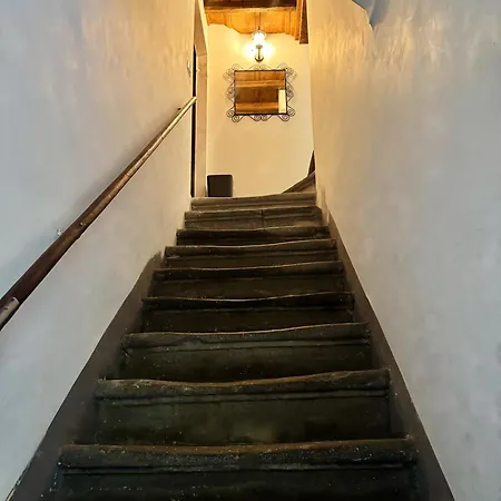 Navona Fox House 1 Semesterbostad