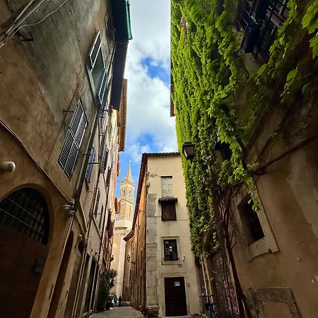 Navona Fox House 1